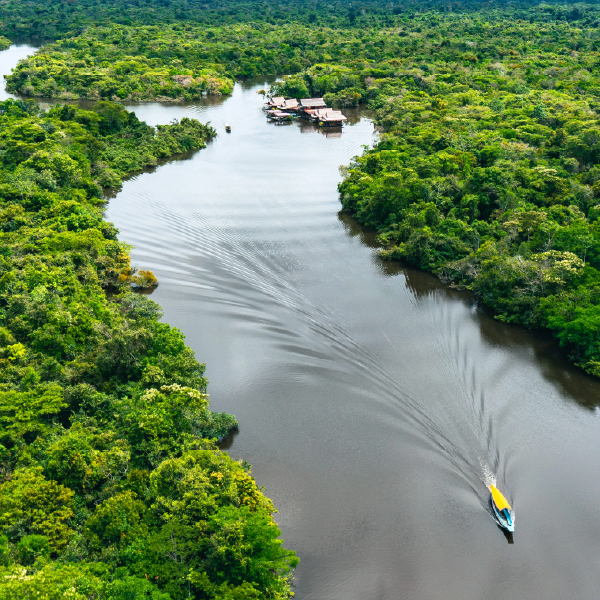 Exploración de la selva amazónica