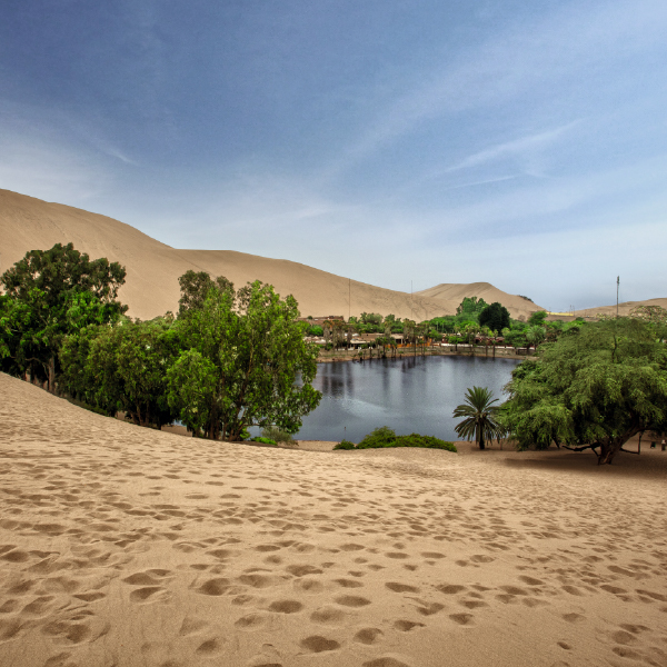 Islas Ballestas – Huacachina – Viaje a Nazca