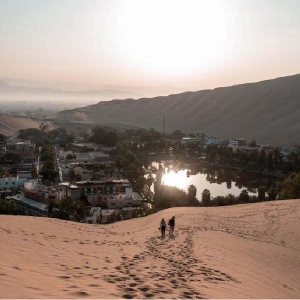 Islas Ballestas y Huacachina